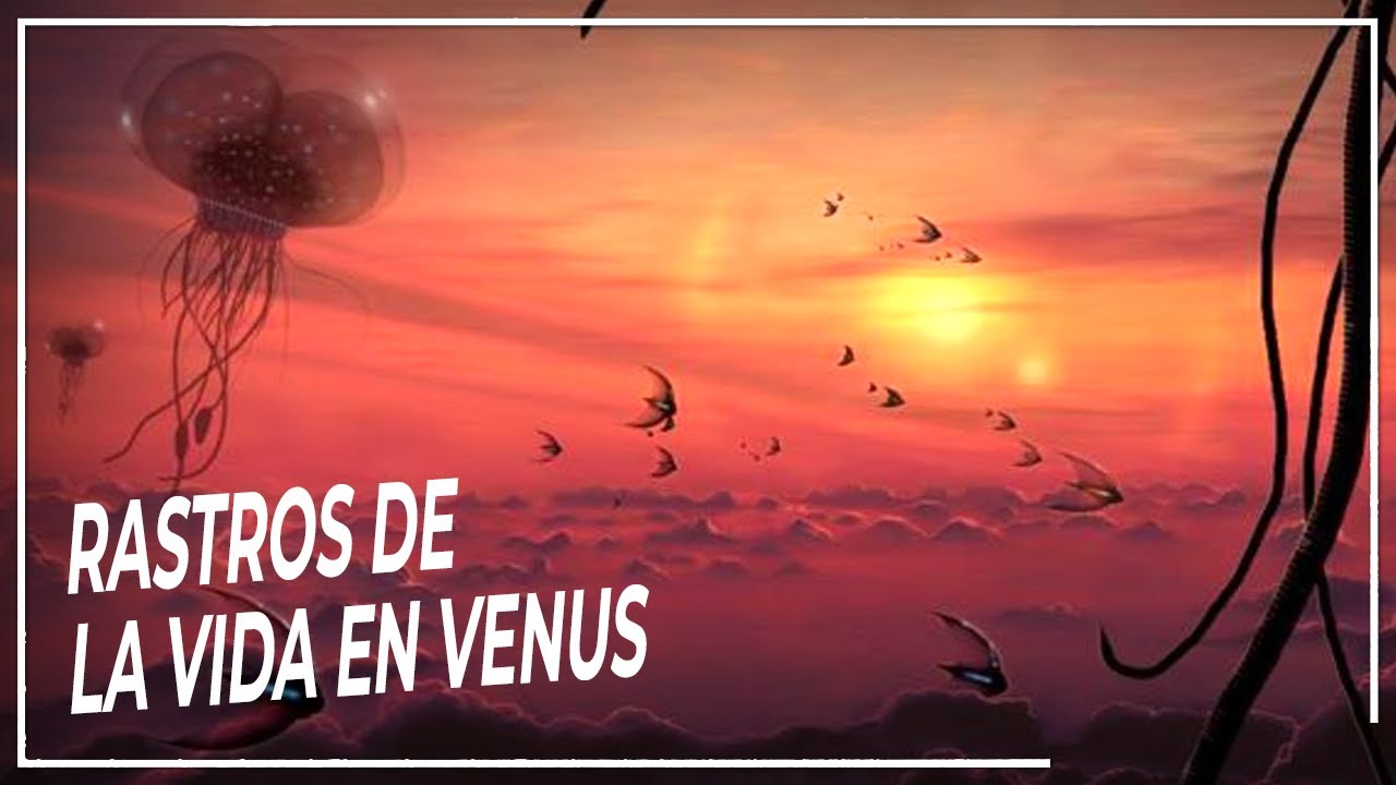 Vida más Allá: Misteriosos rastros de vida Extraterrestre en Venus | DOCUMENTAL Espacio