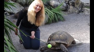 Exotic Animal Trainer Barbara Heidenreich