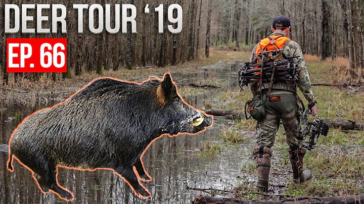 MISSISSIPPI FLOOD! - Hunting HOGS and DEER on Public Land!