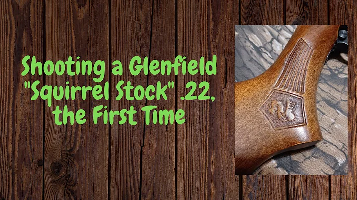 Shooting a Glenfield "Squirrel Stock" .22 the Firs...