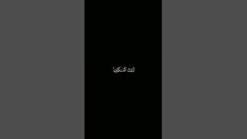 سورة العنكبوت | الآية ٤١ ٤٢ ٤٣ | #القرآن_الكريم #quran #اجر_لي_ولك #اللهم_صل_وسلم_على_نبينا_محمد