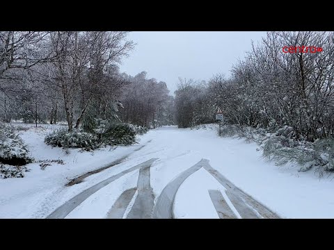 Depois do tempo quente neve regressou à Estrela. Há estradas cortadas mas mantém-se a beleza natural