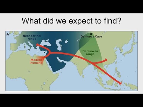Vidéo: Les Paléontologues Ont Trouvé Dans L'Altaï Un Hybride D'un Néandertalien Et D'un «Denisovan» - Vue Alternative