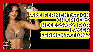 Are Fermentation Chambers Necessary for Lager Fermentation? - The Pint Guy
