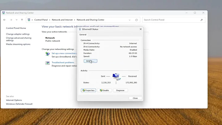 How to Find Your IP Address on Windows 11/10 [Tutorial]