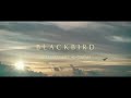 Blackbird2020vfbande annoncedaily cine