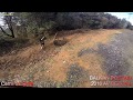 *BALKAN POSTASI* TEK ATIŞ GEÇİŞ YOK VE SONRA GÜMÜŞÜM GELİR /WİLD BOAR HUNTERS/ TÜRKİYE İSTANBUL