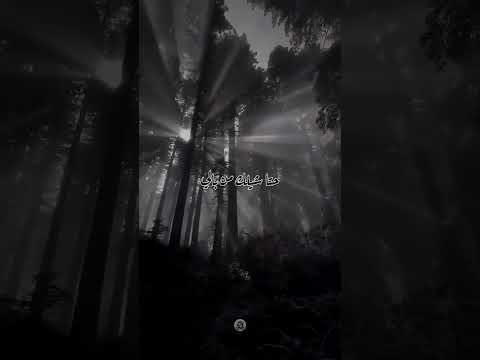 سهران الليل بطوله مجنون