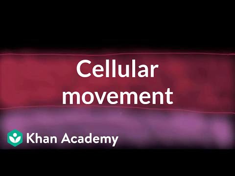 Cellular movement | Cells | MCAT | Khan Academy