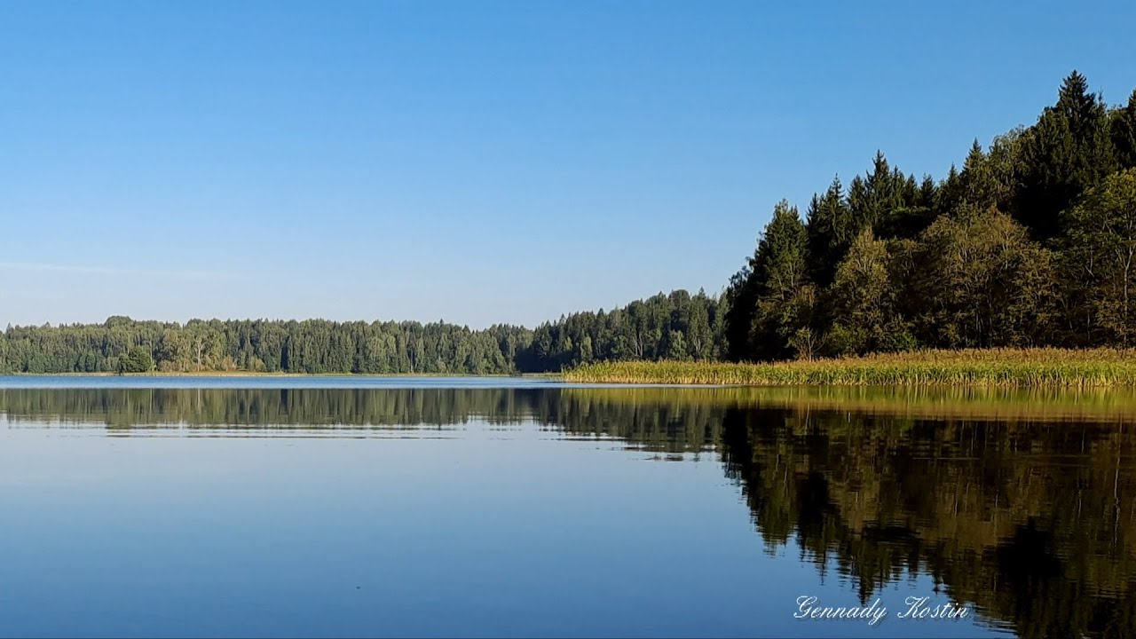 4K Умиротворённое  созерцание _ Peaceful contemplation