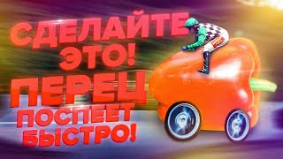 СДЕЛАЙТЕ ЭТО! ПЕРЕЦ ПОСПЕЕТ БЫСТРО! ПОЧЕМУ СЛАДКИЙ ПЕРЕЦ СТАЛ ГОРЬКИМ?