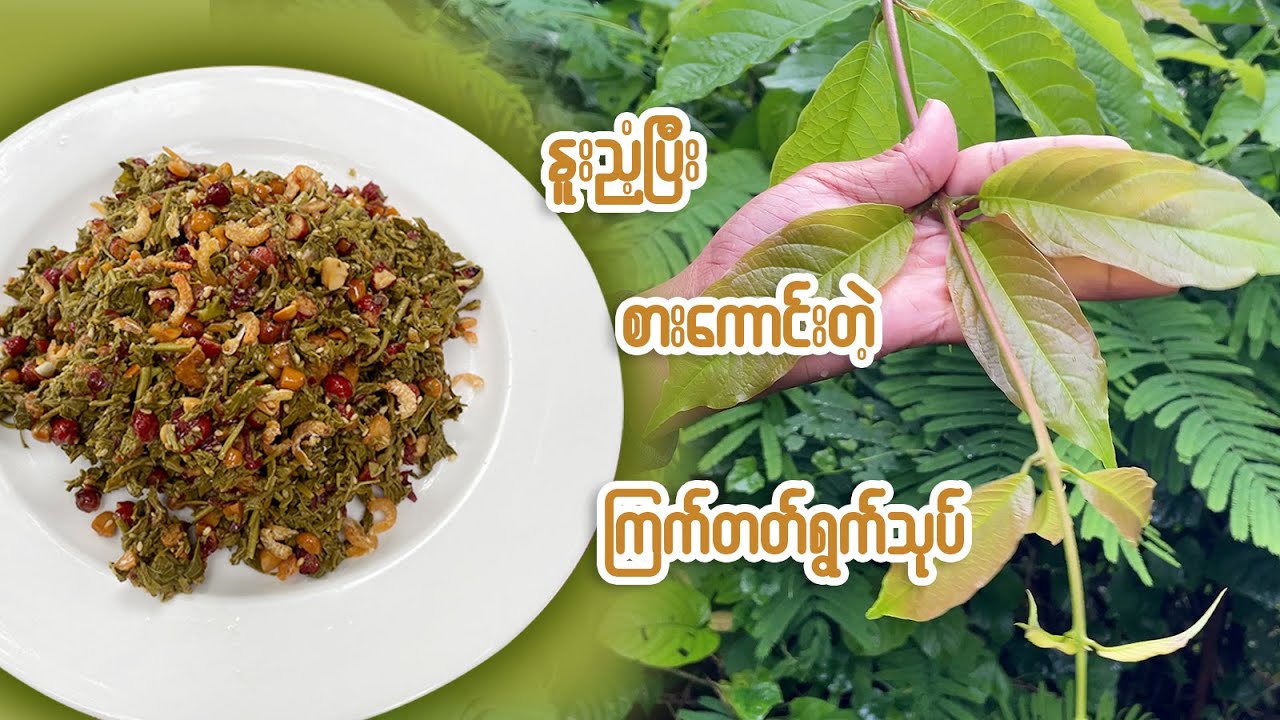 နူးညံ့ပြီးစားကောင်းတဲ့ ကြက်တက်ရွက်သုပ်