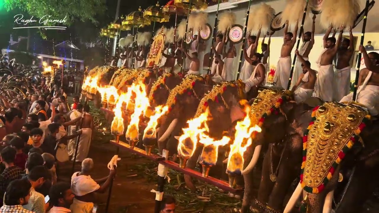 Aratupuzha Pooram 2024   Shastavins Panchari Melam   Pathikalam Thakkitta Mariel   Peruvanam Kuttan Marar