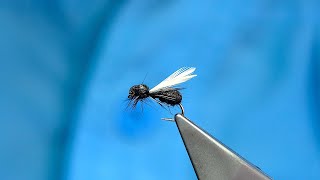 Tying a Foam Black Ant (Dry Fly) with Davie McPhail