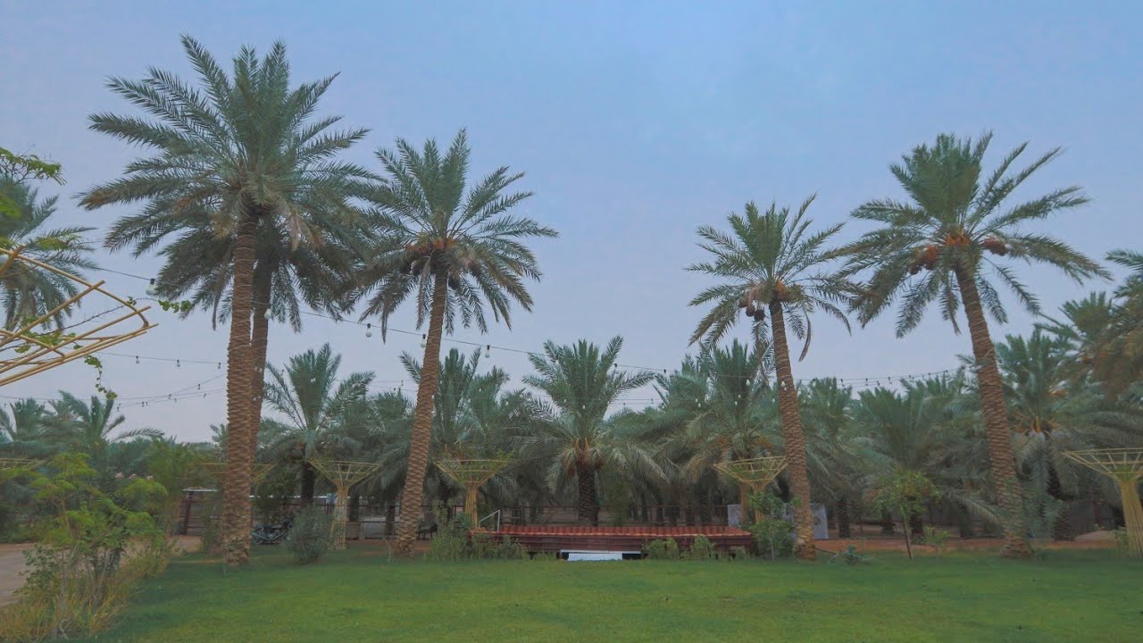 عيد الفطر المبارك بمزرعة قصر الحماد بالشماسية