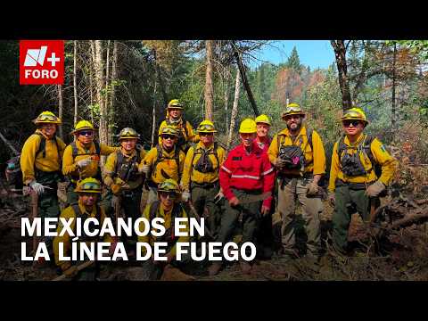 This Is the Life of a Mexican Firefighter: A Testament of Fire and Passion