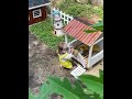 The sensible monkey takes care of the duckling, showing a strong sense of responsibility