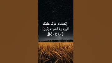 تلاوة عطرة صديق المنشاوي🫀 #القرآن_الكريم #قرآن #قران_كريم #اكسبلور #لايك #quran #islam #islamic