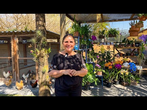 Sueli and Deni Video