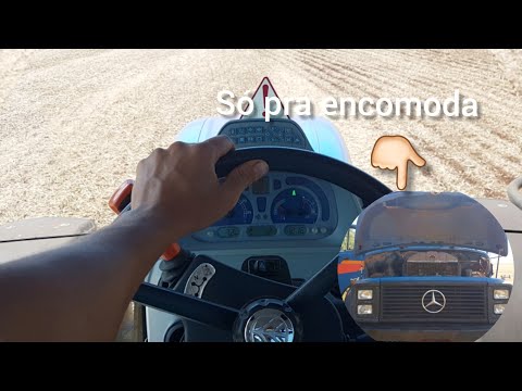 Farming vida Real | PLANTIO DO FEIJÃO E O MERCEDÃO INCOMODANDO KKKK.