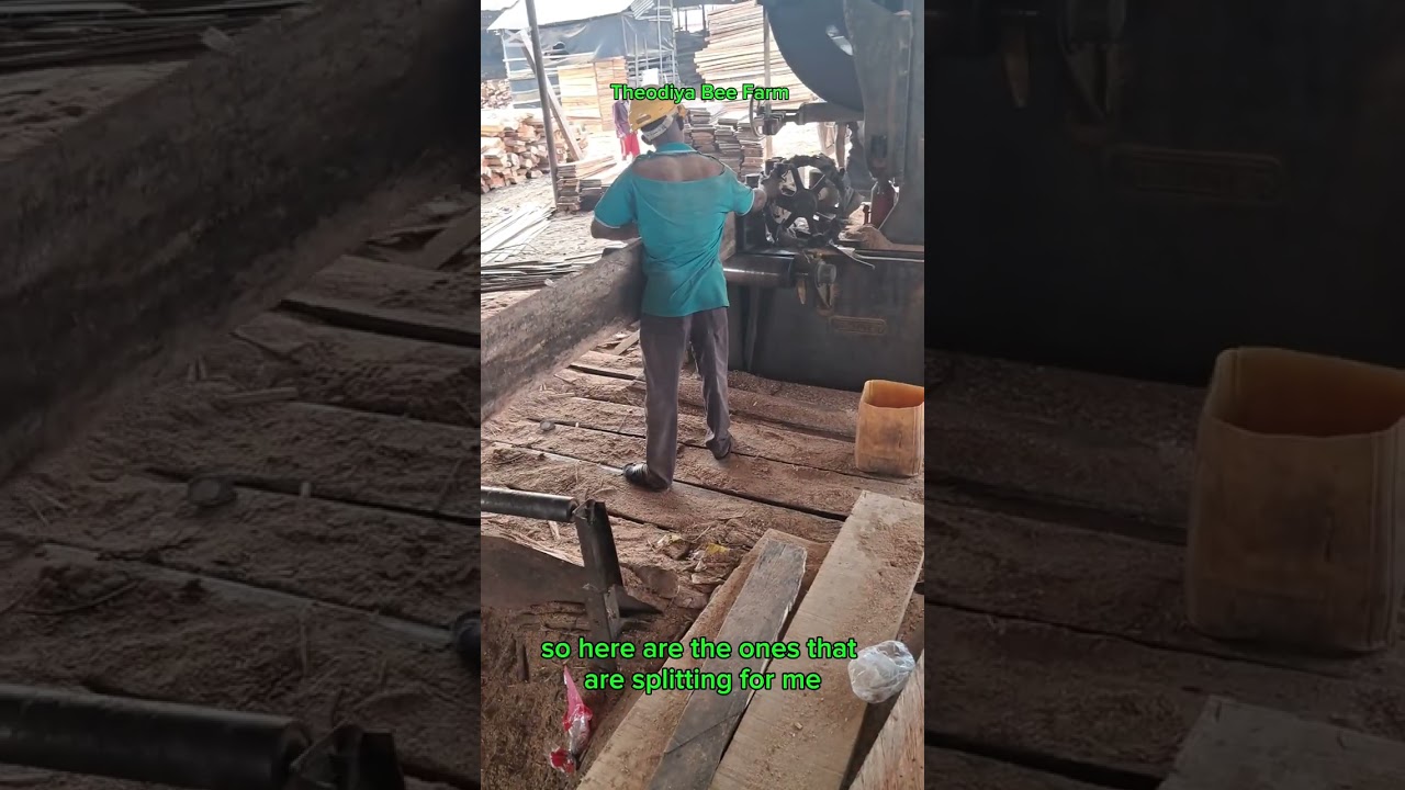 Affordable Timber Buying Guide: Save Money on Building Beehives 