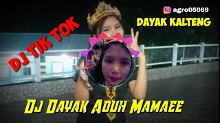 VIRAL!! DJ SLOW ADUMAMAEE || DAYAK KALTENG