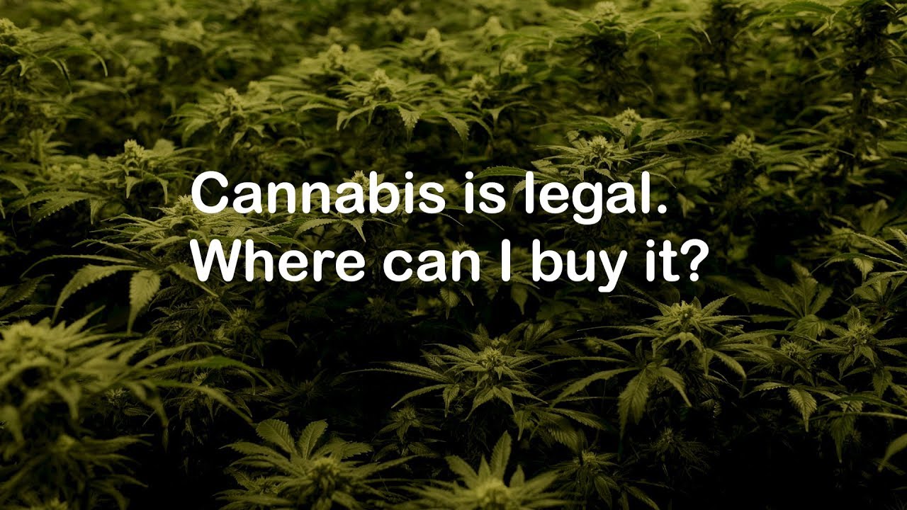 Where can I buy cannabis in Canada?