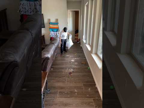 Move your furniture #clean #trending #cleaning #youtubeshorts #cleaningservice #cleaningtips