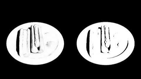 Visibility Hotdog: NeRFactor vs. Ours