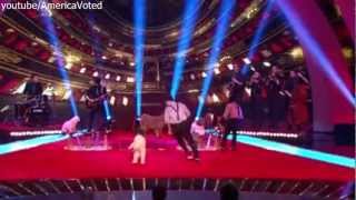 The Olate Dogs Finals  America got talent  AGT 2012