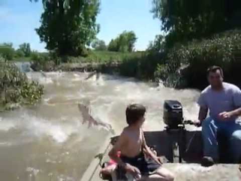 Who needs fishing......(fish lake) - YouTube