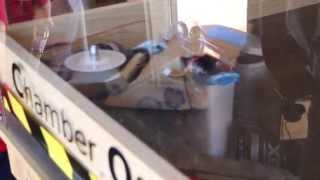 Cardboard Robot Wars - Championship Fight - Columbia Gadget Works