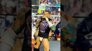 WHO WILL CHALLENGE PUNK!? Full video out #wwe #fypシ