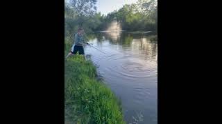 The whole fight with my first carp and no net 🙄 #commoncarp #fishing #carp