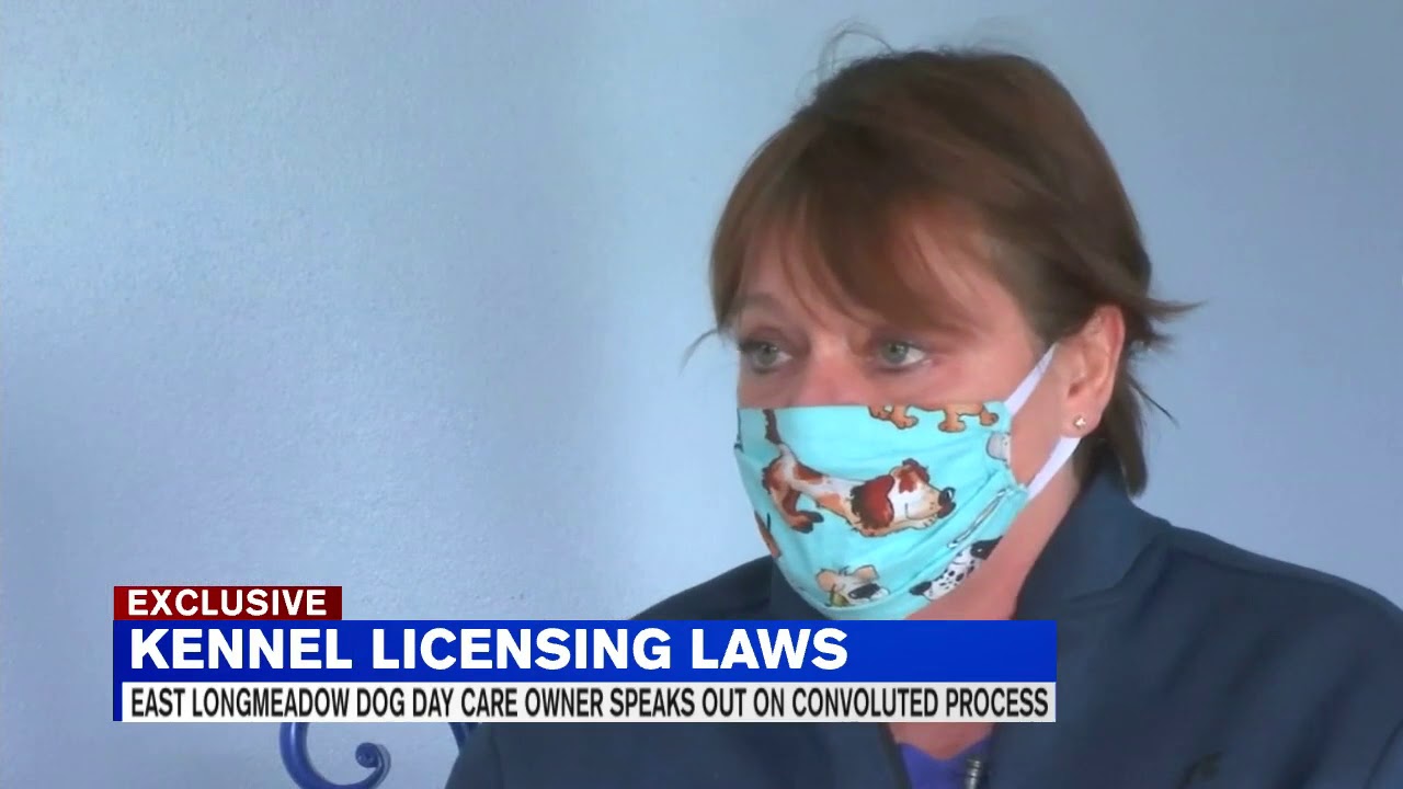 Local dog daycare owner explains complexity of kennel license laws