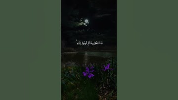 #سورة_هود #المنشاوي #المنشاوي_رحمه_الله #تلاوة_عطرة #اكسبلور #foryou #quran #islam #شورتات_قرآن