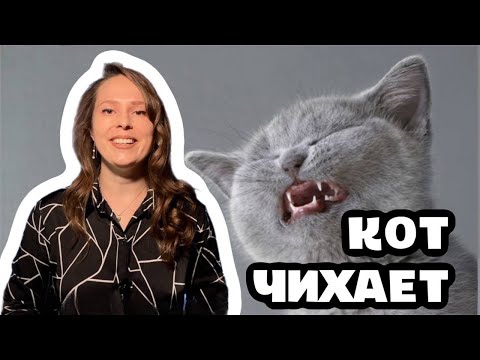 Причина и следствие: объясняю на кошках. Математический адвент-календарь: день 26