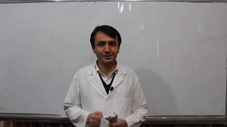 Preload and after Load / Cardiac Out put / Stroke volume|lesson6| فزیولوژی قلب | دهانه قلبی screenshot 3