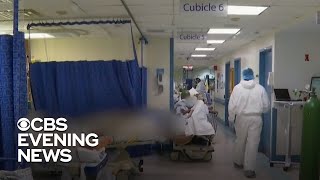 U.S. reports record-high COVID deaths, cases and hospitalizations