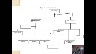 ¿Qué son los organigramas?