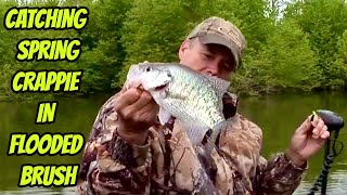 SPRING CRAPPIE IN FLOODED BRUSH- Friday Flashback Eps. by ExtremeAngler & Crappie Machine 1,034 views 1 month ago 13 minutes, 39 seconds