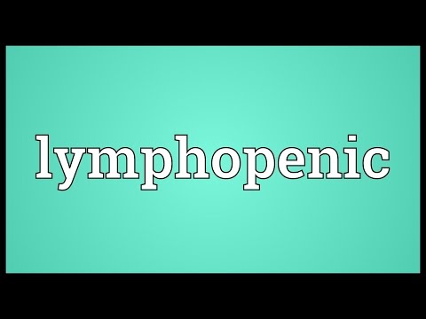 Lymphopenic Meaning @adictionary3492