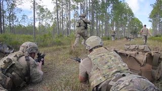 EOD Integrated Training With Military Working Dogs News