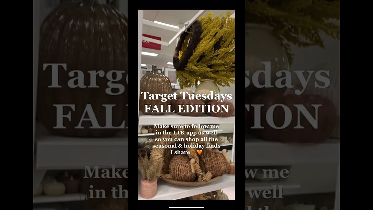 Follow Along Weekly for Target Tuesdays & Walmart Wednesdays This Holiday Season!