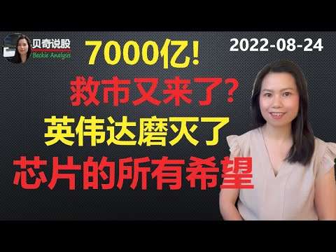 千钧一发之时， 白宫宣布7000亿美元学生贷款减免计划！美股是不是又跌不下去了？英伟达财报磨灭了芯片的所有希望| 贝奇说股20220824