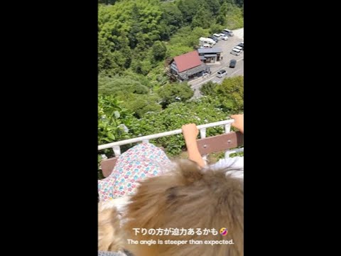 【ノーフォークテリア】新宮あじさいの里