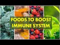 Immune system foods  20 best foods to boost immune system