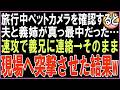 【スカッと】旅行中ペットカメラを確認すると夫と義姉が真っ最中だった…速攻で義兄に連絡し、そのまま現場へ突撃させた結果w（朗読）