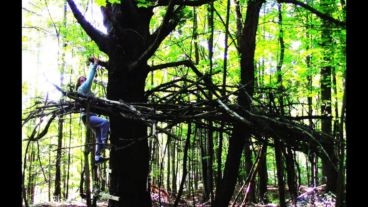 In the Micro Forest 11 A Fake Tree House? YouTube