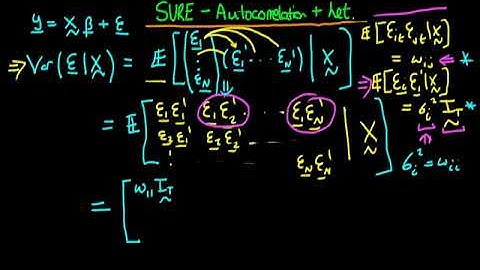 A Graduate Course in Econometrics Lecture 47 | SURE Estimation Autocorrelation & Heteroscedasticity